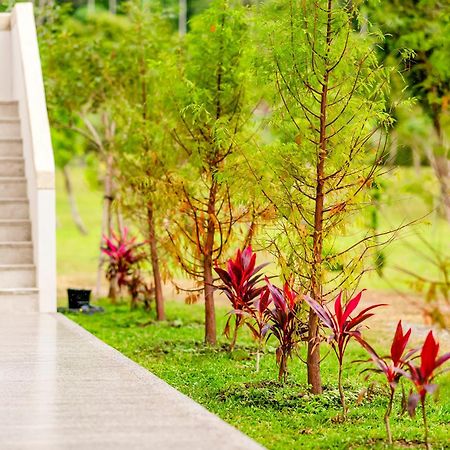 Dream Field Apartment Luye Bagian luar foto