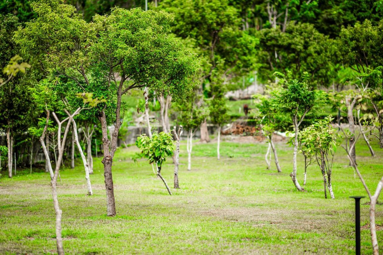 Dream Field Apartment Luye Bagian luar foto