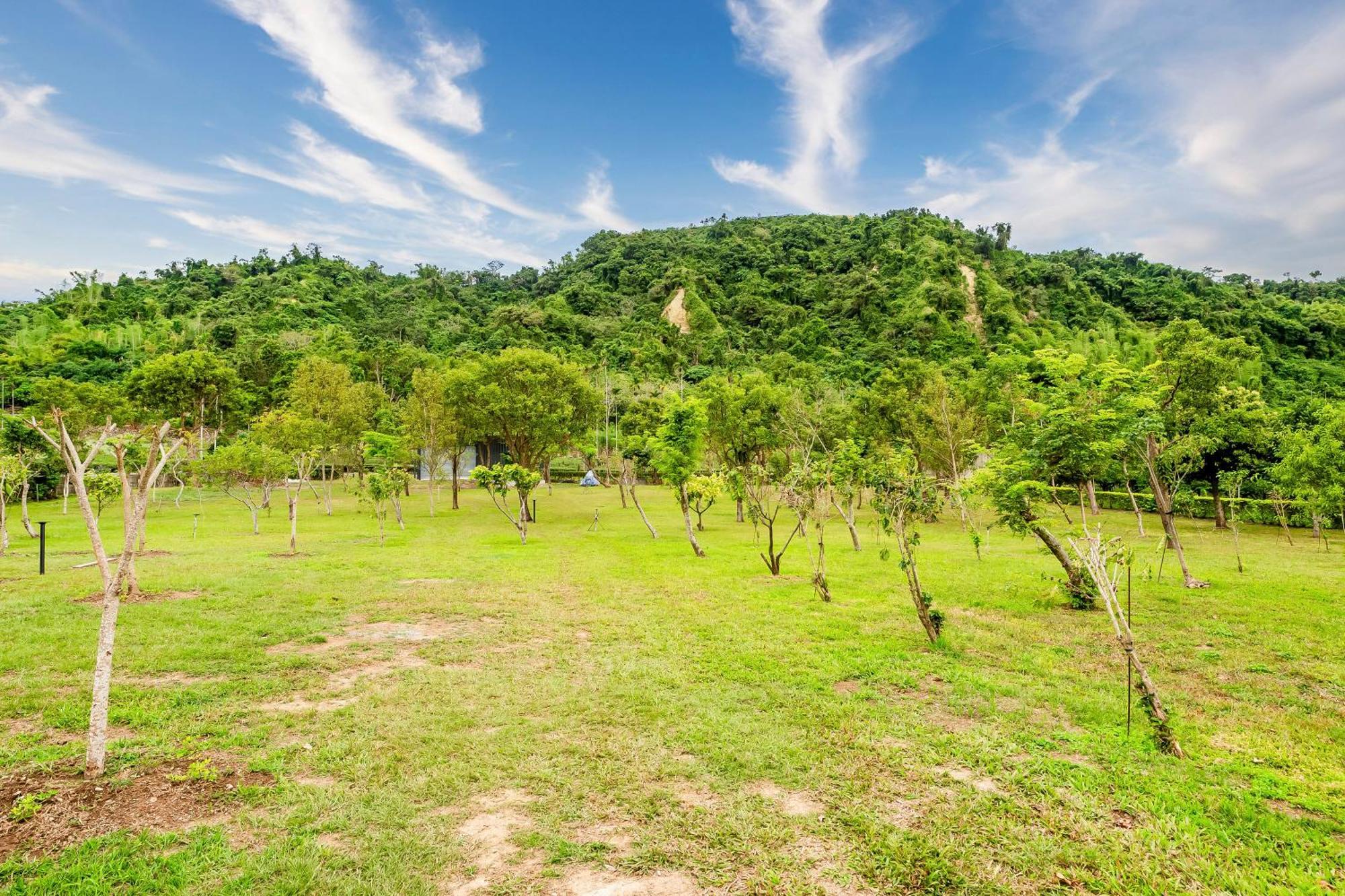 Dream Field Apartment Luye Bagian luar foto