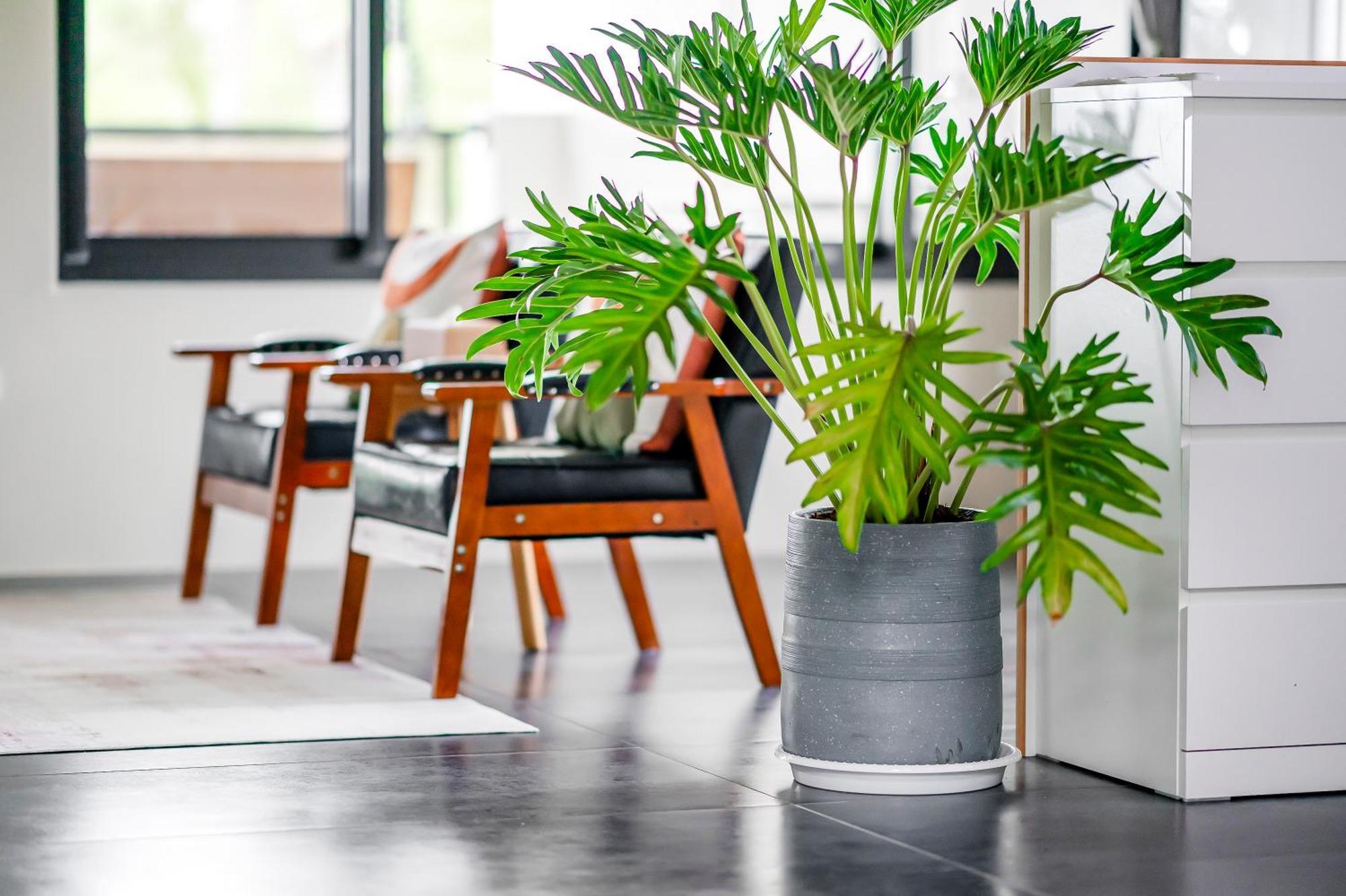 Dream Field Apartment Luye Ruang foto