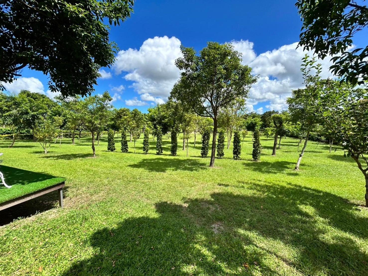 Dream Field Apartment Luye Bagian luar foto